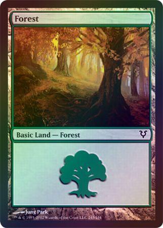 Forest #243 //// Foil //// Avacyn Restored //// MTG Magic //// See Picture