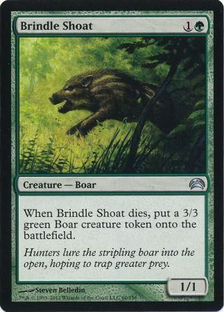 Brindle Shoat Brindle Shoat