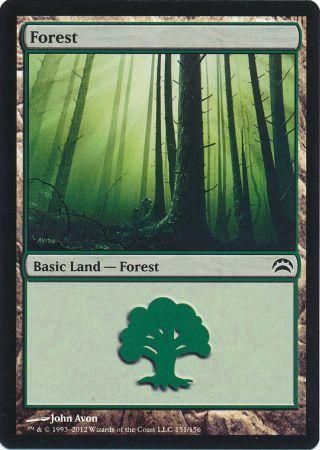 Forest 151 156 Forest 151 156