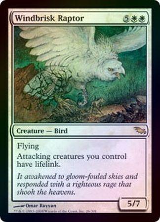Windbrisk Raptor Foil Windbrisk Raptor Foil