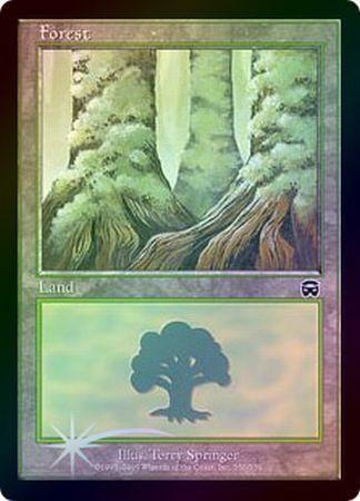 Forest 350 Foil Mercadian Masques Foil Singles Forest 350 Foil Mercadian Masques Foil Singles