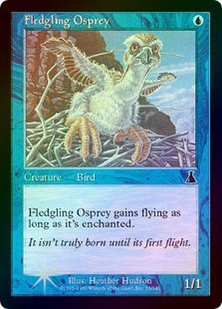 Fledgling Osprey Foil Urza s Destiny Foil Singles Fledgling Osprey Foil Urza s Destiny Foil Singles