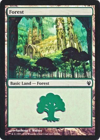 Forest 89 Forest 89