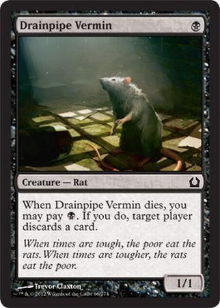 Drainpipe Vermin 