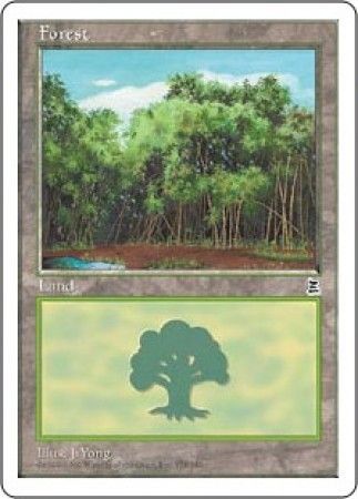 Forest 178 Forest 178