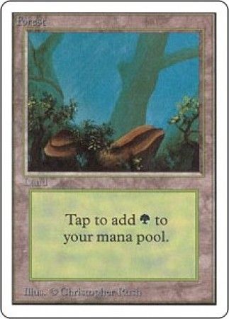 Forest 1 Forest 1