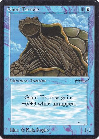 Giant Tortoise Dark Arabian Nights Singles Giant Tortoise Dark Arabian Nights Singles