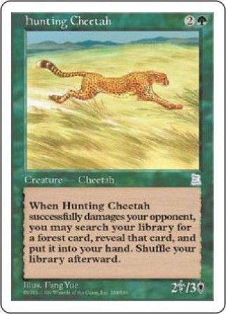 Hunting Cheetah Portal Three Kingdoms Singles Hunting Cheetah Portal Three Kingdoms Singles