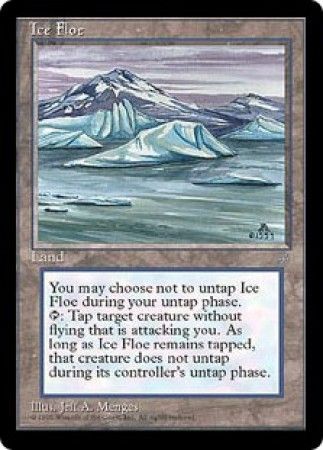 Ice Floe Ice Floe