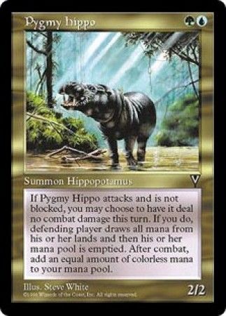 Pygmy Hippo Pygmy Hippo
