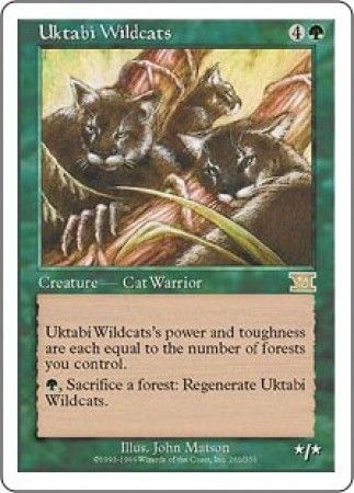 Uktabi Wildcats Uktabi Wildcats