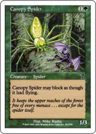 Canopy Spider Canopy Spider