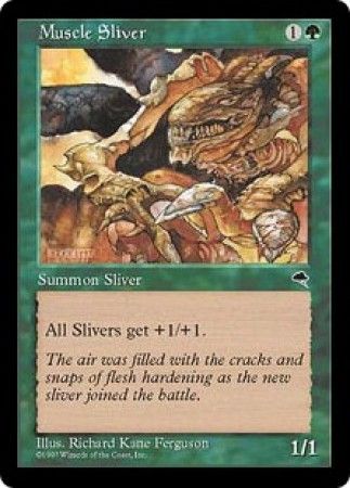 Muscle Sliver Muscle Sliver