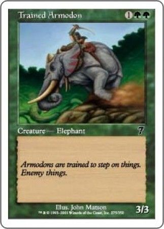 Trained Armodon Trained Armodon