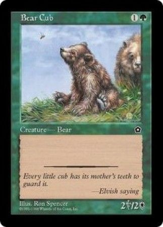 Bear Cub Bear Cub