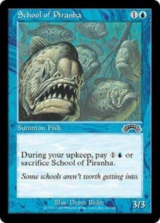 School of Piranha School of Piranha
