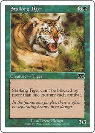 Stalking Tiger Stalking Tiger