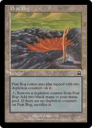 Peat Bog Peat Bog