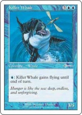 Killer Whale Killer Whale