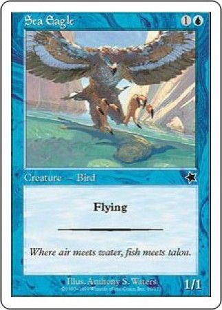 Sea Eagle Sea Eagle