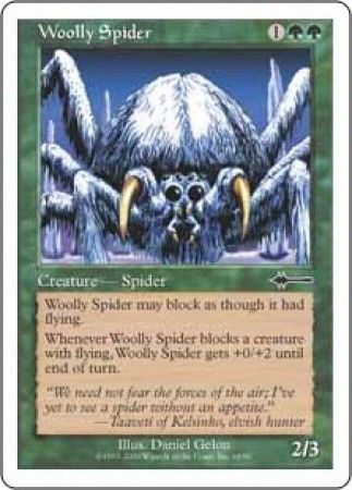 woolly spider