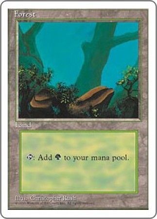 Forest 3 Forest 3