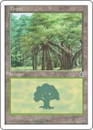 Forest 180 Forest 180