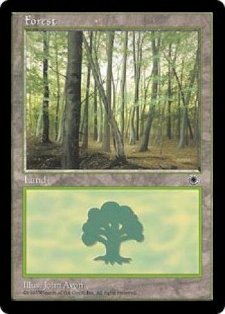 Forest 3 Portal Singles Forest 3 Portal Singles