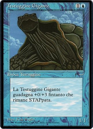 Giant Tortoise Testuggine Gigante Giant Tortoise Testuggine Gigante