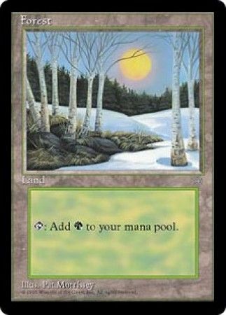 Forest 2 Forest 2