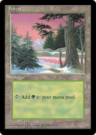 Forest 3 Forest 3