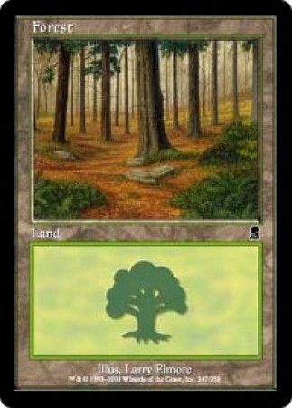 Forest 347 Forest 347
