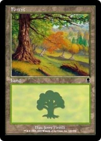 Forest 349 Forest 349