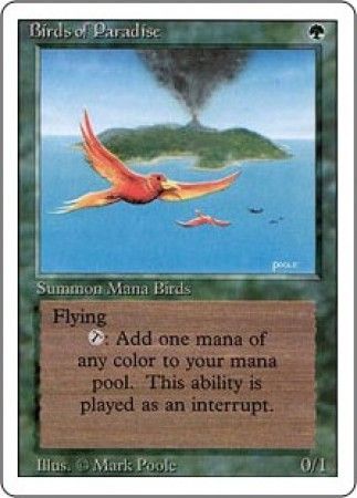 Birds of Paradise - Magic Vintage | TrollAndToad