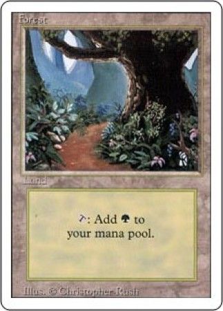 Forest 2 Forest 2