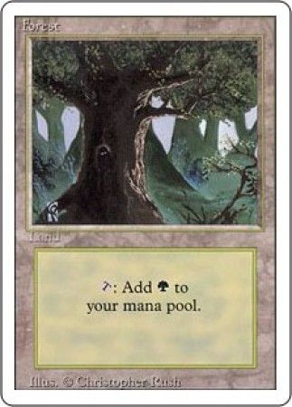 Forest 3 Forest 3