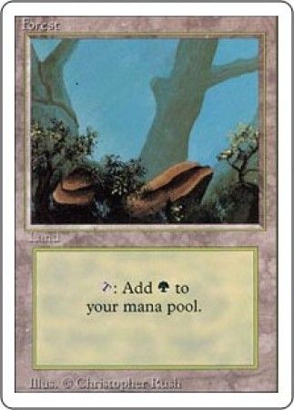 Forest 1 Forest 1