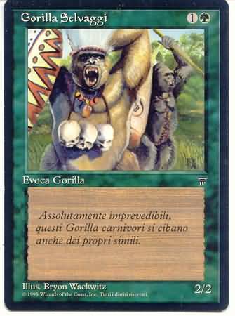 Gorilla Selvaggi Barbary Apes Gorilla Selvaggi Barbary Apes