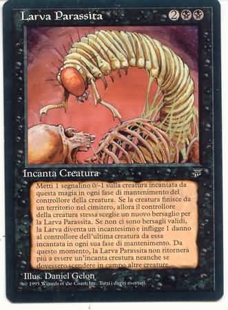 Larva Parassita Takklemaggot Larva Parassita Takklemaggot