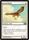 Suntail Hawk Magic 2014 M14 Singles