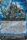 Bluish Flame Liberator Prominence Core BT16 004EN Triple Rare RRR 