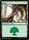 Forest Non Full Art 270 274 