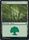 Forest 311 320 