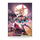 Ultra Pro Force of Will Alice Wall Scroll UP85085 
