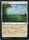 Vivid Meadow Japanese 293 309 