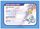 Pokemon League 2002 Water Season License Pokemon Memorabilia