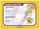 Pokemon League 2002 Lightning Season License Pokemon Memorabilia