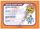 Pokemon League 2002 Fighting Season License Pokemon Memorabilia