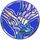 Pokemon Xerneas Collectible Coin Silver Cracked Ice Holofoil w Blue Back Pokemon Coins Pins Badges