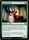Bellowing Elk 157 254 